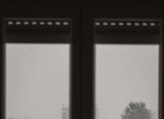 Satılık Daire Kar Analizi: Yatırımınızı Nasıl Değerlendirmelisiniz?