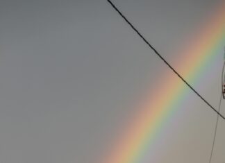 Bakırköy’de Yeni Projeler: Hayalinizdeki Evi Bulun!