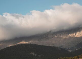 Kiralık Ev Güvenlik Analizi: Huzurlu Bir Yaşam İçin İpuçları