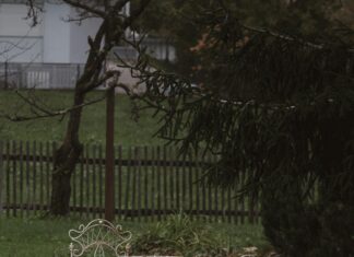 Kiralık Daire Mobilya Rehber Analizi: Hangi Tercihler Öne Çıkıyor?