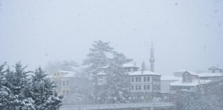 Satılık Daire Kar Analiz Rehberi: Yatırımınızı Nasıl Katlayabilirsiniz? Home