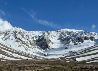 Satılık Daire Kar Rapor Rehberi: Yatırımınızı Nasıl Değerlendirirsiniz?