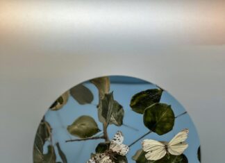 Bakırköy’de Yeşil Alanlı Evler İle Huzurlu Bir Yaşam Mümkün mü?