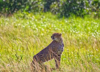 Bakırköy Dairelerinde Kat Mülkiyeti ve Kat İrtifakı Hakkında Bilgi