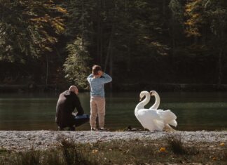 Bakırköy’de Aile Evleri: Hayalinizdeki Evi Bulmanın Yolu