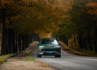 Bakırköy Kiralık Dairelerde Ev Sahibinin Bakımı Gecikirse Ne Olur?