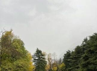 Bakırköy Emlak Yatırımında Site Yönetimi ve Ortak Alanlar Neden Önemli?