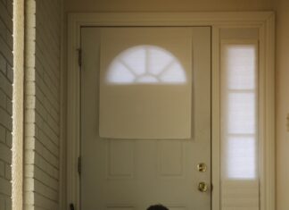 Bakırköy Kiralık Dairelerde Gün Işığı Kira Beklentisini Nasıl Değiştirir?