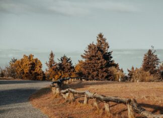 Bakırköy’de En Çok Tercih Edilen Semtler Hakkında Bilmeniz Gerekenler