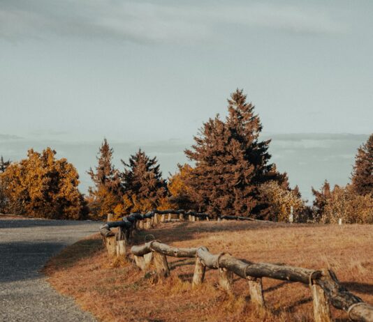 Bakırköy’de En Çok Tercih Edilen Semtler Hakkında Bilmeniz Gerekenler