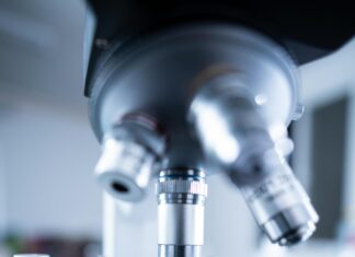 Bakırköy Kiralık Dairelerde Taşınmadan Önce Ulaşım Saatlerini Nasıl Test Edersiniz?