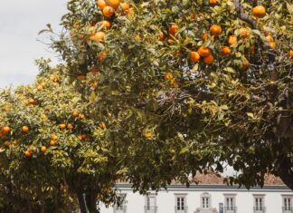 Bakırköy’de Planlanan Kentsel Dönüşüm Projeleri Gerçekten Fırsat mı?