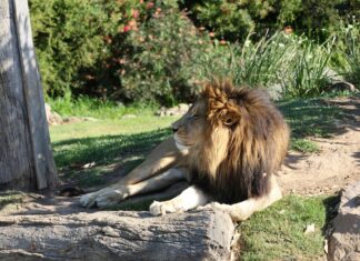 Bakırköy Dairelerinde Kat Sayısı ve Yüksekliği Neden Önemli?