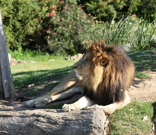 Bakırköy Dairelerinde Kat Sayısı ve Yüksekliği Neden Önemli?