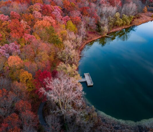 Bakırköy Emlak Piyasasında Beklenmeden Alım mı, Gözlem mi?