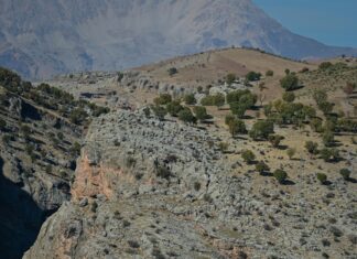 Bakırköy Dairelerinde Site İçinde Toplu Taşıma Mesafesi Neden Önemli?