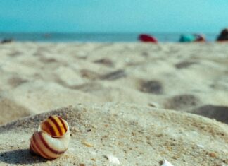 Bakırköy Dairelerinde Markalı Proje Mi Daha Çok Tercih Ediliyor?