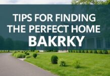Bakırköy’de Mükemmel Ev Bulmak için İpuçları Tips for Finding the Perfect Home in Bakırköy