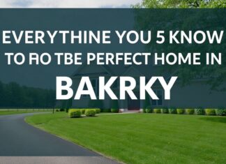 Bakırköy’de Mükemmel Ev Bulmak İçin Bilmeniz Gereken Her Şey Everything You Need to Know to Find the Perfect Home in Bakırköy
