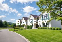 Bakırköy’de Mükemmel Ev Bulmak İçin Dikkat Edilmesi Gerekenler Things to Consider When Looking for a Perfect Home in Bakırköy